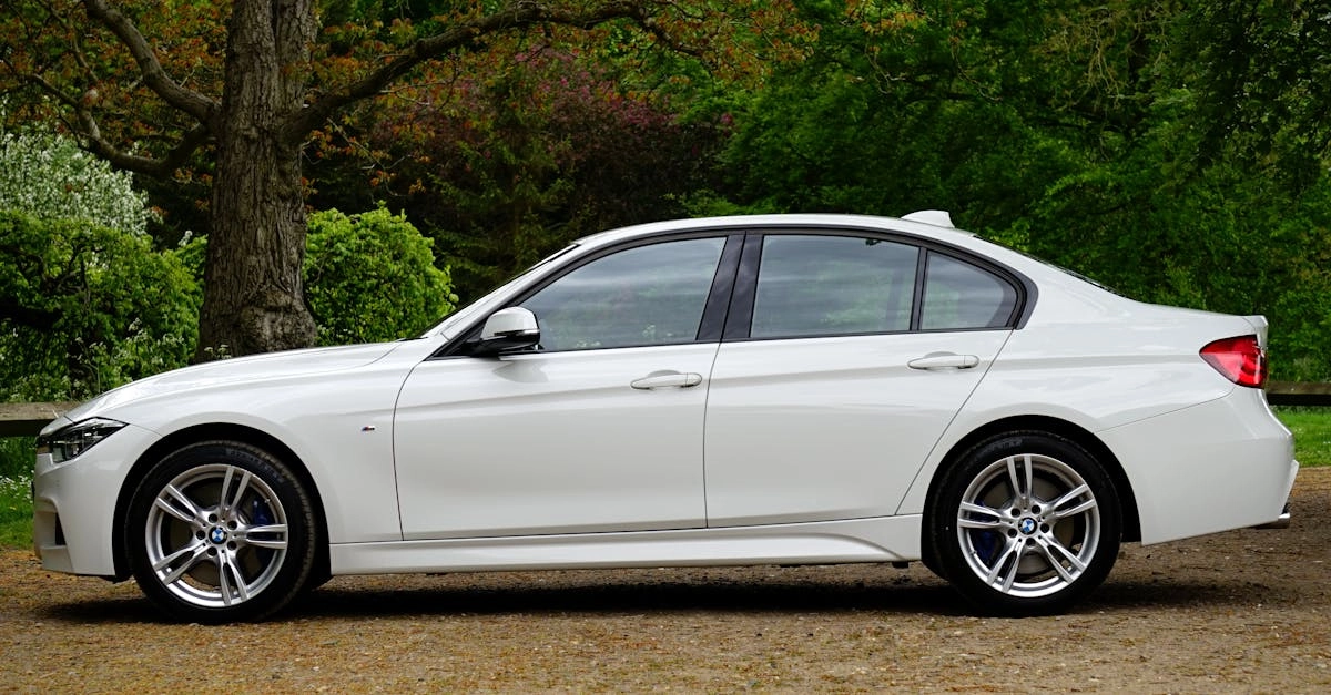 Элитные игорные порталы Германии для аристократической аудитории